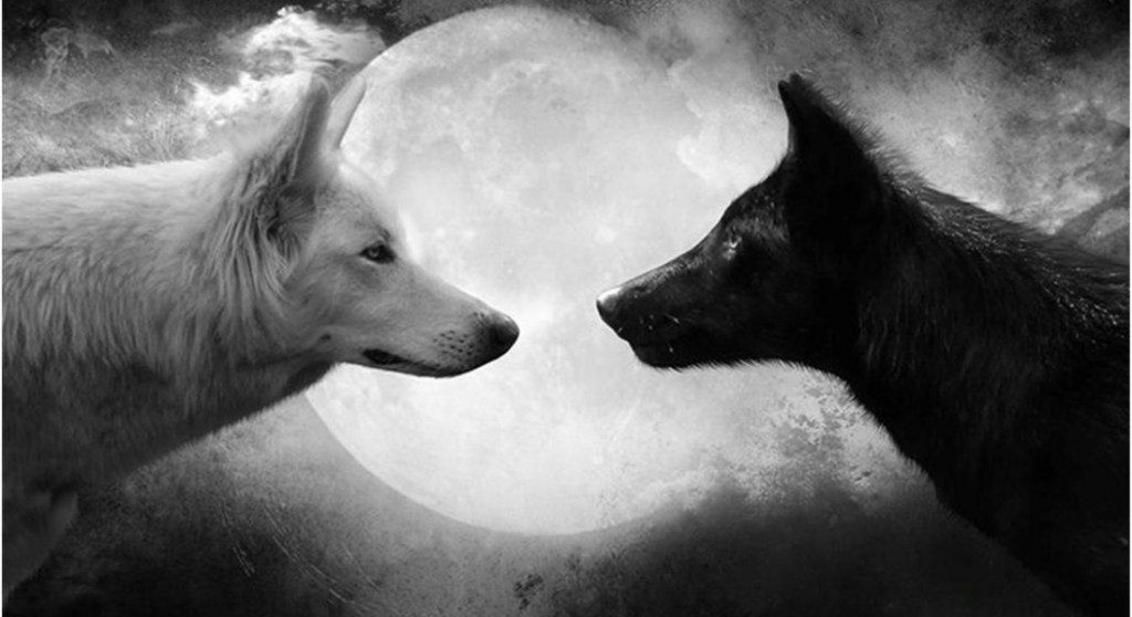 Sanremo, la buona educazione e Junior&nbsp;Cally